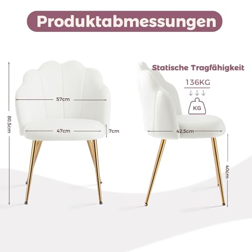 Eufurnibi Schminkstuhl Weiß mit Goldenen Metallbeinen – Muschel Design | Polsterstuhl Samt | Armloser Schminktisch Stuhl für Schlafzimmer & Wohnzimmer