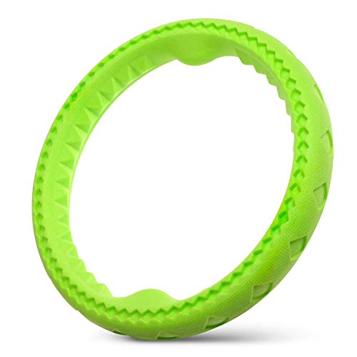 Fluffy Paws Dog Chewing Ring - Soft Rubber Ring Dental Chewing Teething Biting Chasing Training Toy for Small and Medium DogÂ Puppy - 10", Green