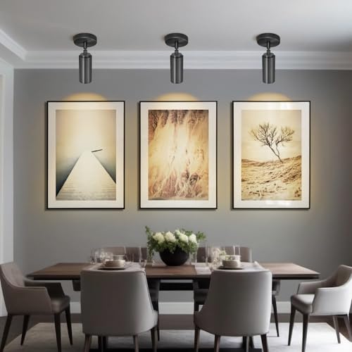 Matte Black Ceiling Spotlight, Hardwired LED Ceiling Spot Light Indoor, Flush Mounted Monopoint Ceiling Light, Modern Directional Spot Lights, Adjustable Spotlight Fixtures