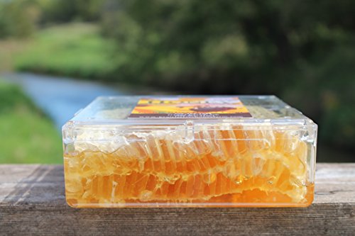 Raw Comb Honey Pure Natural Nebraska Honey (One) 1Lb (16Oz) Cut Comb #TOP1