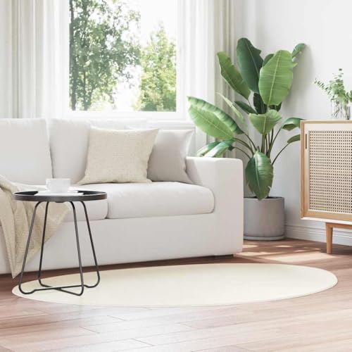 Tapis de sol lavable en machine pour éliminer les taches de café du salon