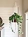 TIMEYARD Macrame Plant Shelf Hangers-Indoor Hanging Planter Decorative Pot Holder with Beautiful Flower Cut Outs - Boho Chic Bohemian Home Decor, in Box