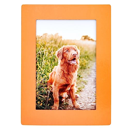 Juvale 15-Pack 4X6 Magnetic Picture Frames For Refrigerator, Locker, Office, Kitchen Cabinet, Classroom, Arts And Crafts Projects, Holds 4X6 Photos (5 Colorful Borders) #TOP5