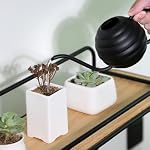 Plant Watering Bottle, 500ml/17oz, Retro Style Watering Can, Matte, Frosted (Black)