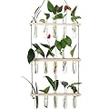 YIBOT Plants Propagation Stations Plant Terrarium with Wooden Stand Home Garden Office Decor Plant Lover Gifts