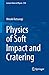 Physics of Soft Impact and Cratering (Lecture Notes in Physics, 910)