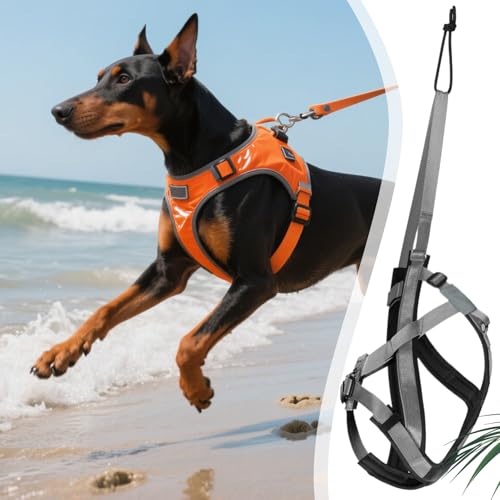 Zughundegeschirr - Reflektierendes Laufgeschirr Für Hunde - Verstellbares Gurtzeug Für Training Skaten Outdoor Aktivitäten