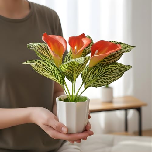 Image of fancymart Artificial Calla Lily Plant with Pot - 30 cm Height Decorative Flower Leaves (Pack of 1) | Realistic Faux Plant for Home & Office Decor | Table, Shelf & Desk Decoration