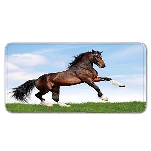 FAIEK Alfombras De Pasillo Caballo de Sol Largas Moquetas Largo Entrada Felpudos Patrón 3D Anti-desvanecimiento Anti-Sucio Aplicar para Ventana De Bahia Dormitorio Sala Lavable Cortable 50x80cm