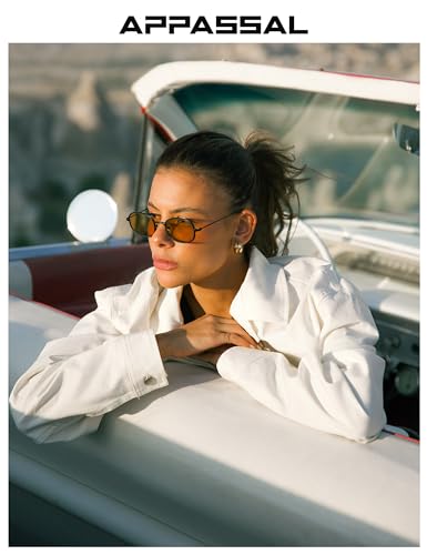 Retro Oval Sunglasses for Women Men Trendy Large Round Y2k Sunnies AP3681