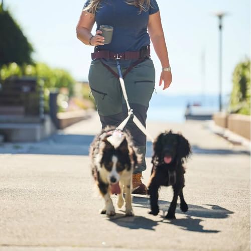 Non-stop dogwear Trekking-Belt 2.0 |122| Allrounder - Dogtrekking und Wander-Gürtel, Farbe:Schwarz, Größe:S