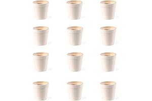 Fun Express Mini Flower Pots Bulk Ceramic for Kids