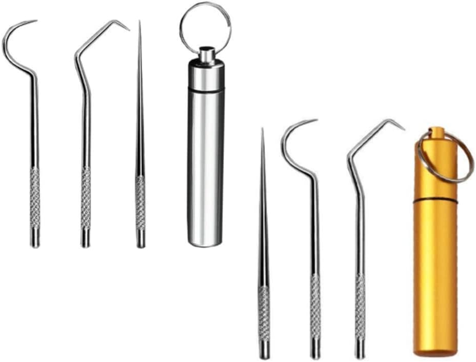ZHIZICX 2 Set/ 6Pcs Pocket Toothpick Holder Keychain Toothpicks Set Titanium Toothpick Cleaning Tooth Hook Scraper Metal Toothpick Holder Dental Picks for Camping Picnic Outdoor