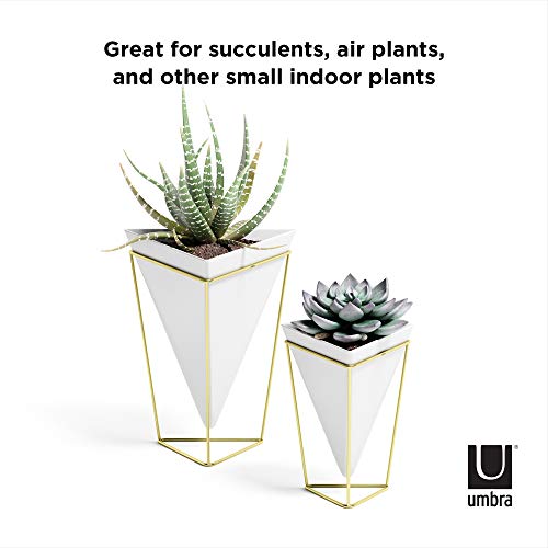 Umbra 1004372-524 Trigg Desktop Planter Vase & Geometric Container-For Succulent, Air, Mini Cactus, Faux Plants And More, Desk, White/Brass thumb #5