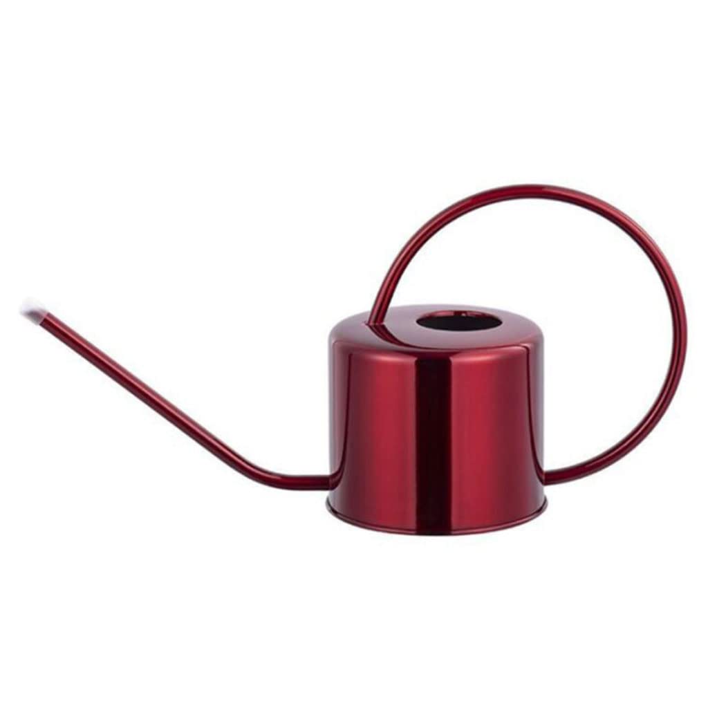 Gießkanne aus Edelstahl, 1,3 l, for Blumenwasser zu Hause, leicht zu verwendender Griff for Gießen von Pflanzen, Lange Öffnung, Metall, Garten