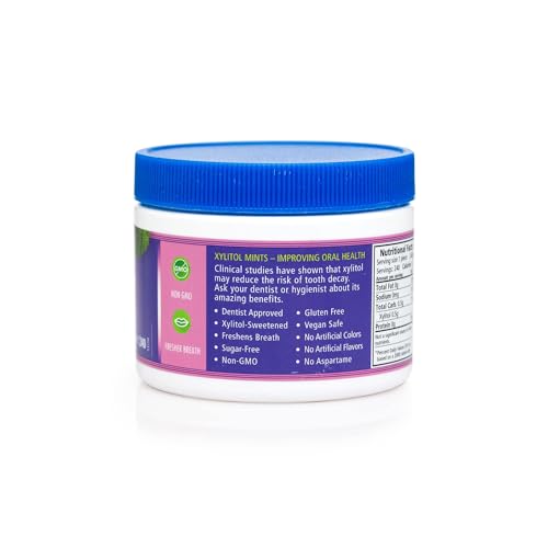 Spry Xylitol Berry Blast Mints Sugar Free Candy - Promote Oral Health, Increase Saliva Production, Stop Bad Breath, Non-GMO, Gluten-Free, 240 Count (Pack of 1)