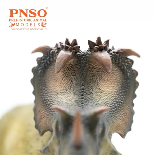 Dinosaure Ceratopsidae AMITD 89 Coronosaurus Russo pour décor de bureau - 3