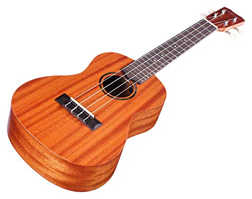 Cordoba U1C Concert Ukulele Player Pack #TOP3