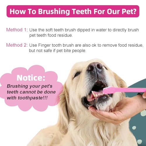 Image of Cat Dog Toothbrush Puppy Tooth Brushing Kit Cat Dental Healthy Pink Teeth Brush for Dogs Dental Hygiene Toothbrush for Pet Kitten Bunny 1 Piece