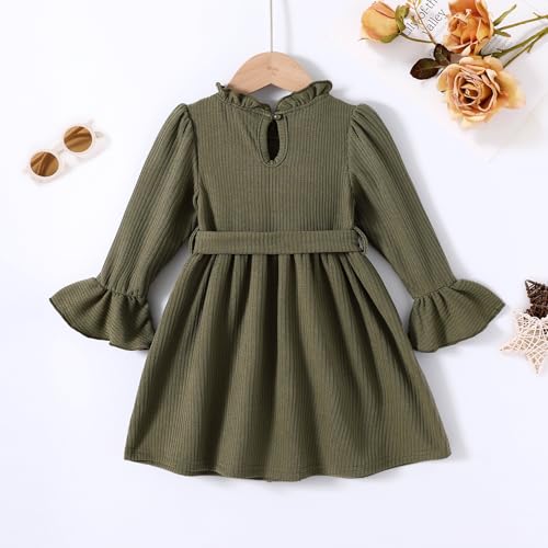 JEELLIGULAR Toddler Girl Dress Long Sleeve Knit Sweater Dress for Kids Little Girl Dresses Fall Winter Clothes Outfits2