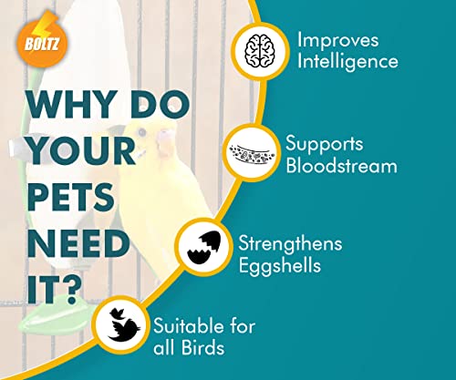 BOLTZ Cuttlefish Bone for Birds, High Calcium for Finches, Budgies, Conures, Lovebirds, Cockatiels, African Grey, Macaws, Cockato for All Life Stages, 100g, white