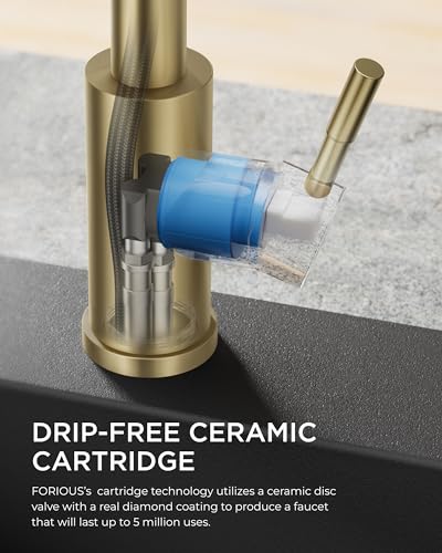Image of FORIOUS Kitchen Faucet with Pull Out Sprayer, Single Handle, Brushed Gold