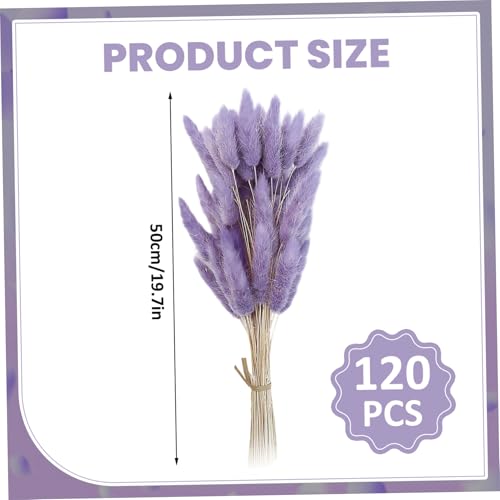 120 Flores secas Pampas Grass decorativas lavanda 50 cm miniatura 2