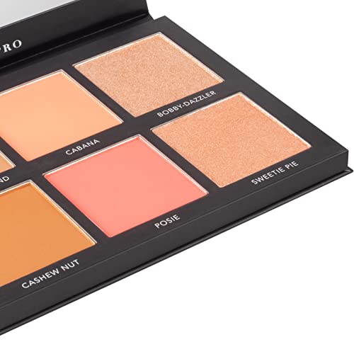 LaRoc Cosmetics Pro Sculpt Glow Palette 6g