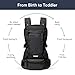 Colugo Baby Carrier - Baby Carrier Newborn to Toddler, Toddler Carrier, Adjustable, Lightweight, Breathable Carrier for Newborn to 33 Pounds (Black)