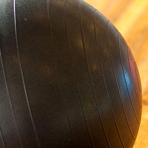 Power Systems Versa Ball Pro Stability Ball (Calypso Berry, 55Cm) #TOP1