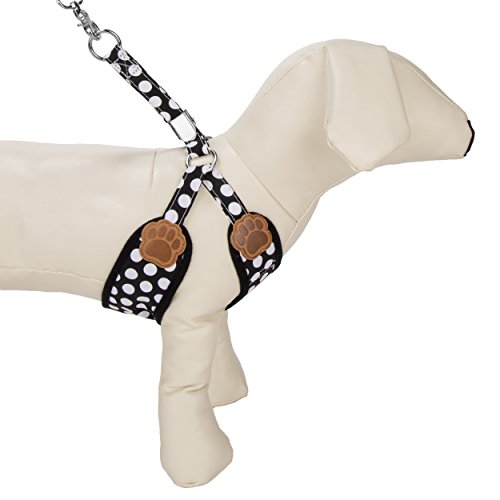 Cuecue Pet Choke Free Harness With Leash, Black/White, Medium #TOP3