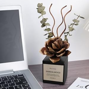 Reed diffuser set sandalwood cedarwood scented oil with dried flowers 609 fl oz180ml long lasting air freshener with diffuser sticks home fragrance for bathroom decor  urban country home decor