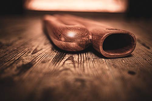 Meinl Sonic Energy Z-Shaped Professional Didgeridoo For Meditation, Sound Healing Therapy, Yoga And Circular Breathing — Not Made In China — Mahogany Wood, 2-Year Warranty (Ddprofzd) #TOP3