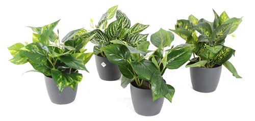 Conjunto de 4 macetas grizes con Plantas Artificiales para Interior de 25cm de Altura, Maceta incluida Cover
