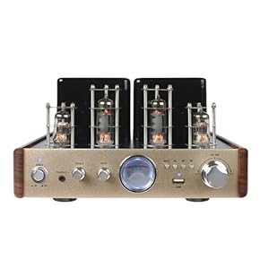 【本日発送】【美品】【高価な真空管アンプの雰囲気が手軽に味わえる♪驚愕の高音質】 高級感溢れ】 Nobsound HiFi EL34 完全に手作り 真空管アンプ