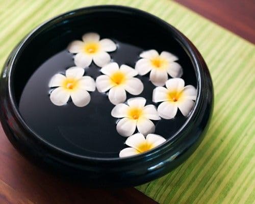 TIED RIBBONS 30 Pcs Artificial Flower for Pooja Room Decoration Foam Plumeria Hawaii Flowers Frangipani Beach Floating Flower for Home Pooja Room Office Necklace Garland DIY Craft Wedding Gift Items 1