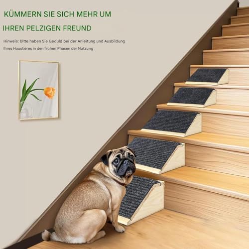 Hunderampe – 30 cm Holz-Haustierrampe – Tragbare Haustierrampe fürs Bett mit Rutschfester Traktionsmatte für kleine Hunde, Hundekletterleiter für Sofa, Bett, Couch und Auto
