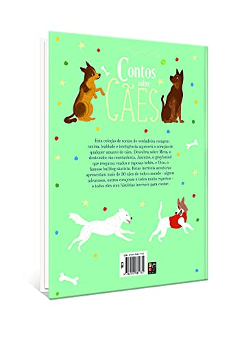 Contos Sobre Cães Histórias Verdadeiras de Cães Heroicos