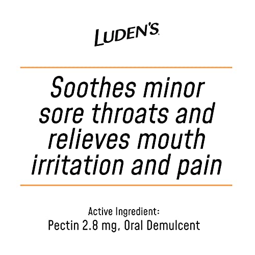 Ludens Deliciously Soothing Throat Drops | Honey & Berry Flavor | 25 Count Each | Pack Of 6 #TOP4