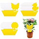 DEPAR 60 Pegatinas Amarillas contra Mosquitos de luto, 3 Patrones, efectivas Pegatinas Amarillas para Combatir plagas en Plantas de Interior y cocinas, sin pesticidas, Trampa para Mosquitos, Placas