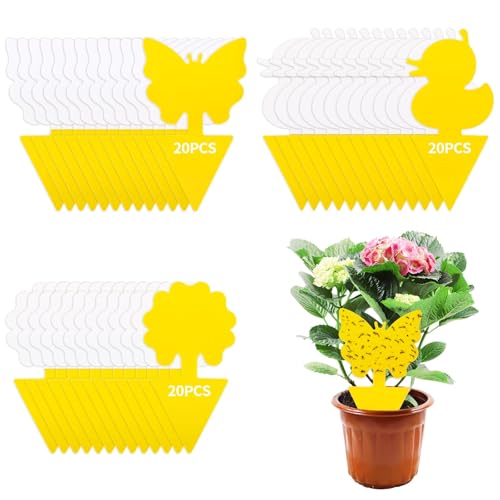 DEPAR 60 Pegatinas Amarillas contra Mosquitos de luto, 3 Patrones, efectivas Pegatinas Amarillas para Combatir plagas en Plantas de Interior y cocinas, sin pesticidas, Trampa para Mosquitos, Placas