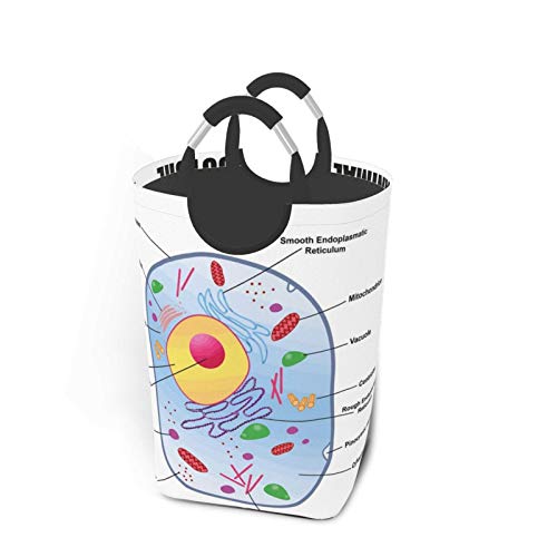 Wäschesack,Pädagogische Tierzellstudie drucken,Großer faltbarer Wäschekorb,zusammenklappbarer Wäschekorb,zusammenklappbarer