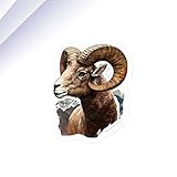 Rocky Mountain Bighorn Sheep Sticker, Gift for Rocky Mountain Bighorn Sheep Lover, Rocky Mountain Bighorn Sheep Lover Sticker