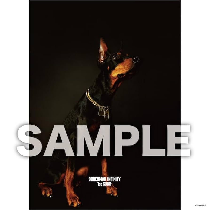DOBERMAN INFINITY / 1st SONG セット DOBERMAN INFINITY / 1st SONG セット DOBERMAN INFINITY - 1st