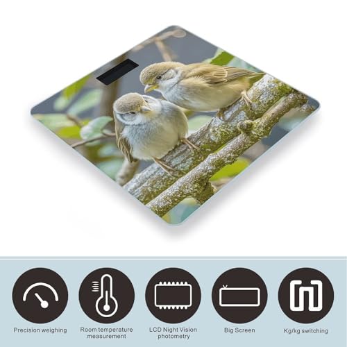 Báscula digital de baño Kiwi Birds Cute para hasta 400 lb miniatura 3