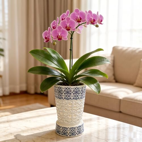 Pots à orchidées en céramique pot de fleurs avec drainage 10cm