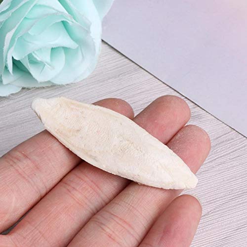 Zonster 1 Bag Cuttlebone Tintenfisch Sepia Knochen Tuppoly Fish Bird Food Calcium Pickstone Papagei Vögel Zähne Schleiftraining