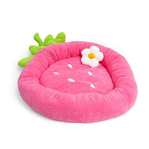 TONBO Soft Plush Small Cute and Cozy Food Dog Cat Bed, Washer and Dryer Friendly (Strawberry)