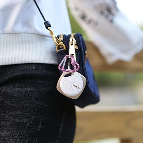 Karabiner Herz 20 Stück Aluminium Karabinerhaken Klein, Karabine Bunt Karabiner, Karabiners Schlüsselanhänger für Camping Angeln Berge Besteigen Wandern Reisen(10 Farben)