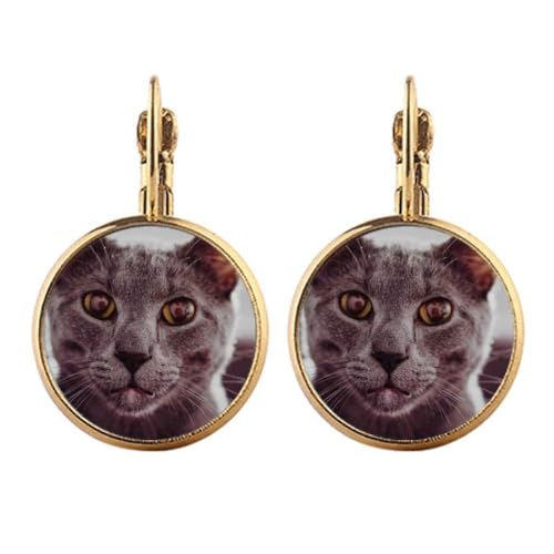 Boucles d'oreilles chat gris clip or pour oreilles non percées